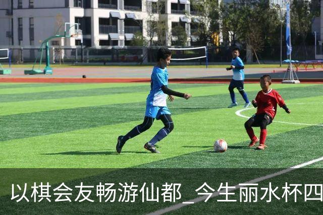 以棋会友畅游仙都 今生丽水杯四地围棋交流活动圆满落幕